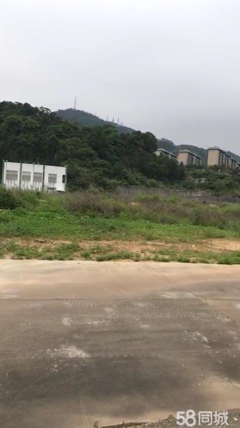 公司出租大面积地土可堆放建材水泥搞拌等多种用途水电齐全1