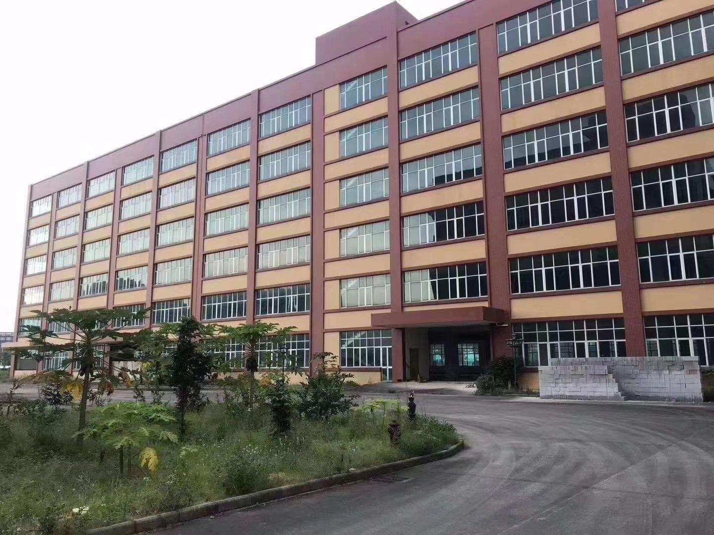 横沥三江工业园旁边全新写字楼，办公室出租