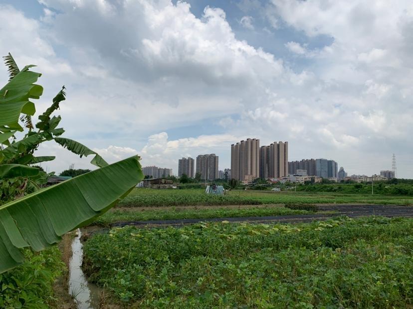 广东中山市国有土地带土地证2100亩出售2