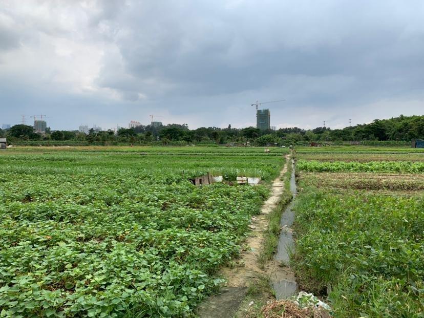 广东中山市国有土地带土地证2100亩出售1