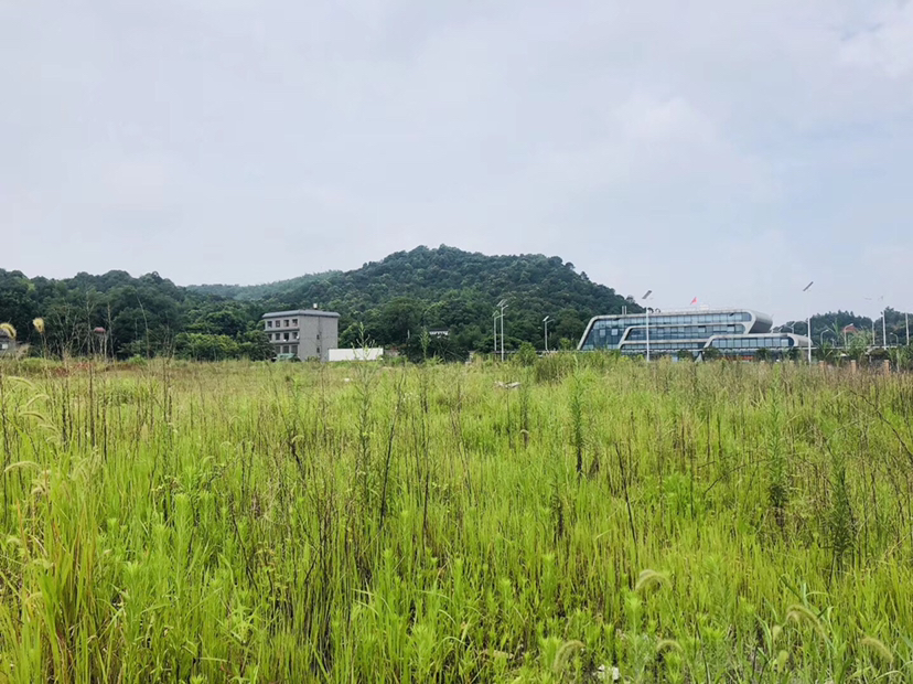 含浦学士街道学泰村附近土地25亩场地出租2