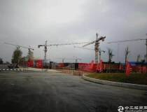 政府十大专项资金支持广东中山国有证工业土地300亩出售