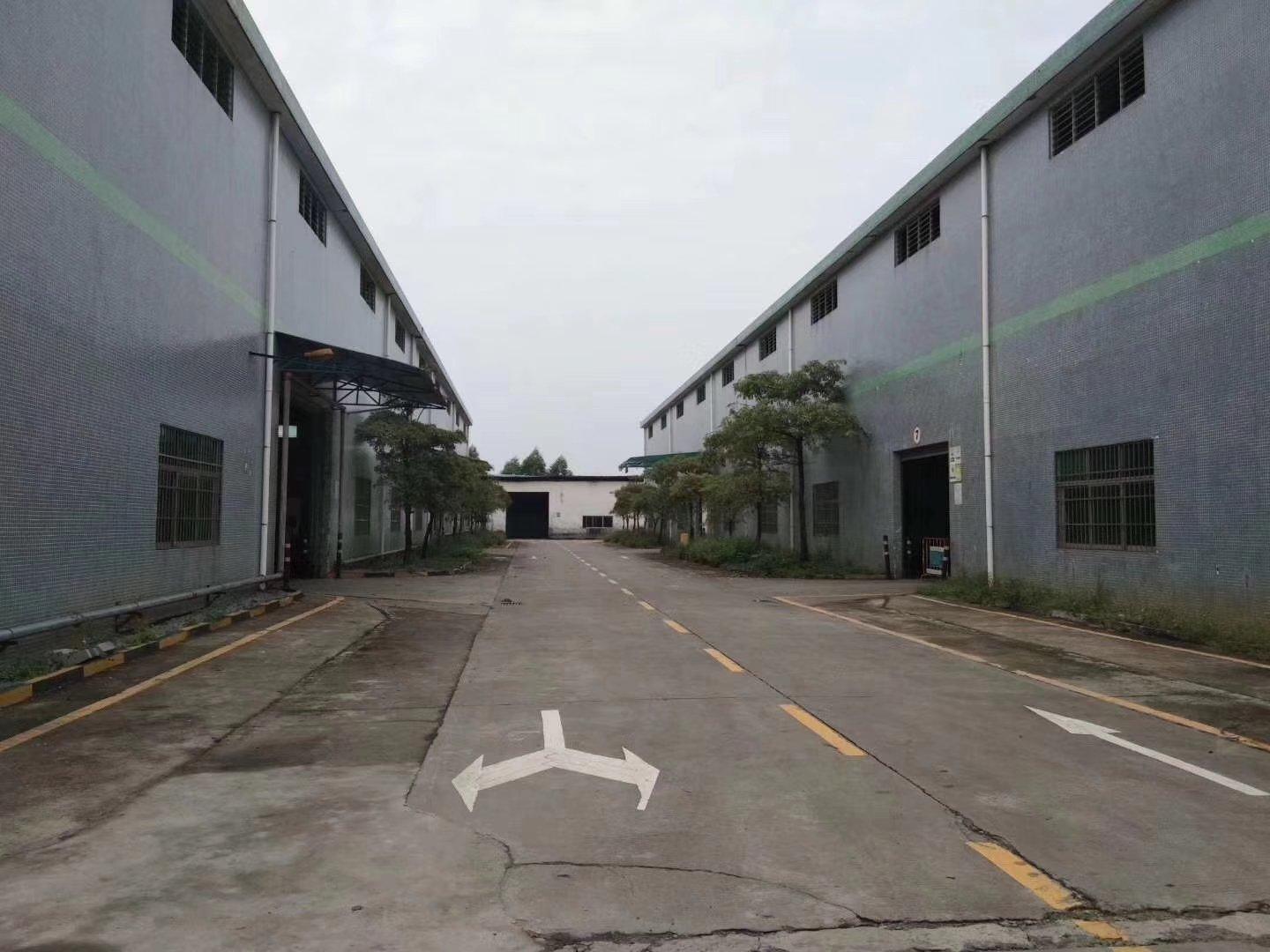 增城区增江街四丰村人口(3)