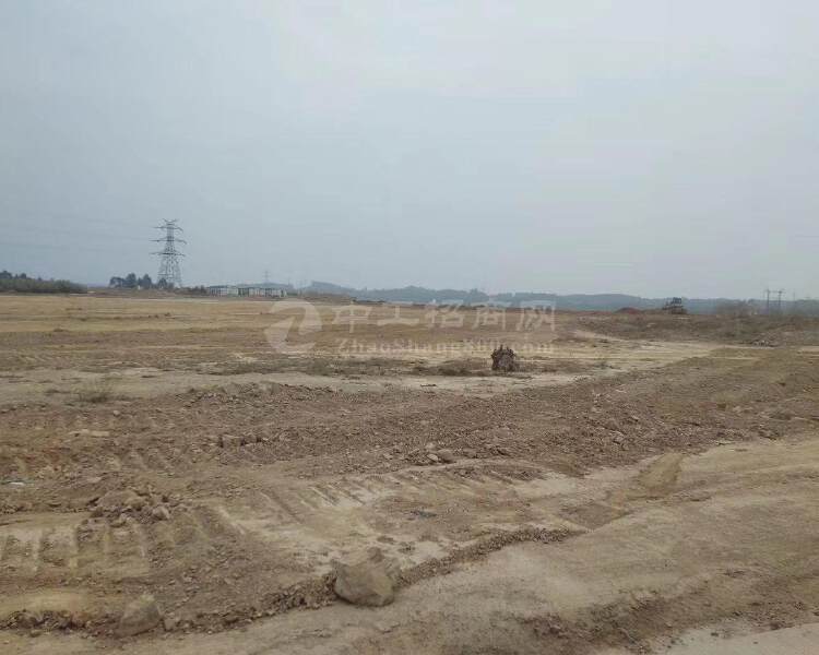 安徽滁州市来安县120亩国有指标土地出售，七通一平，用50年