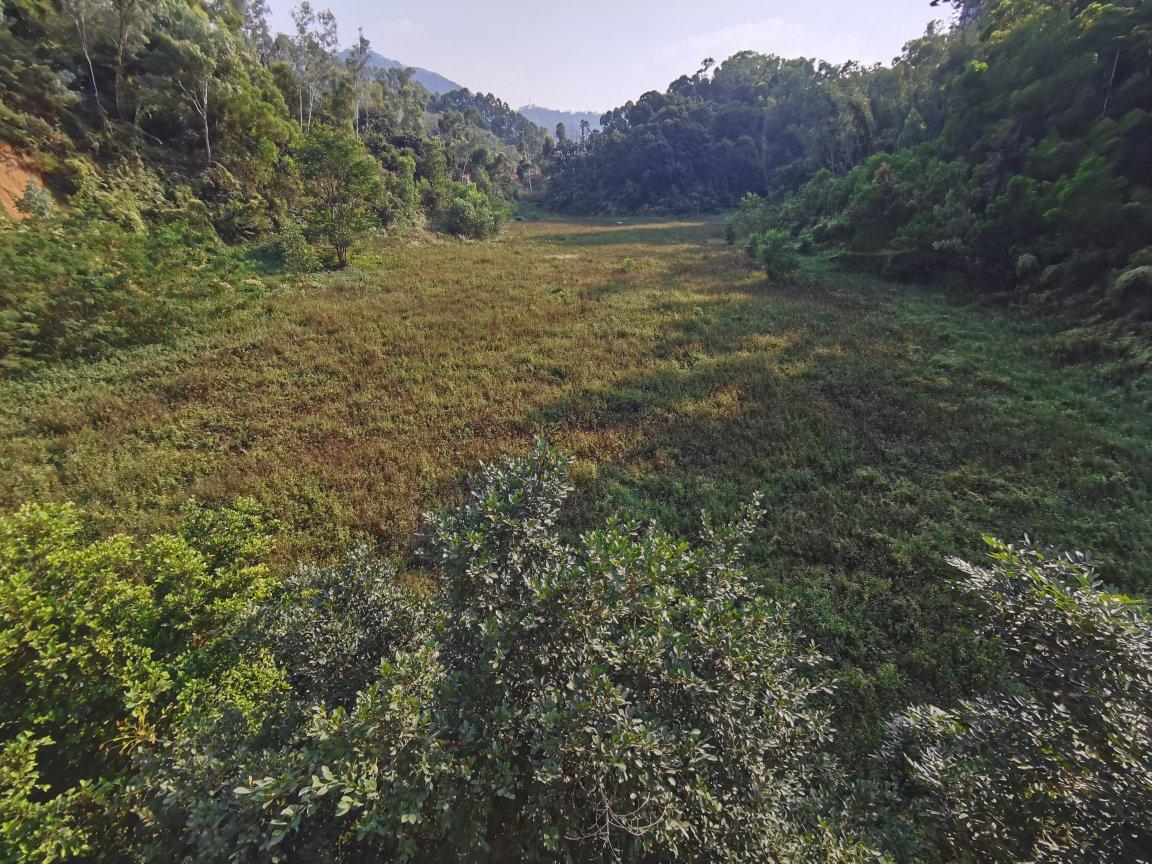 坂田现有手续齐全土地出售，土地没有任何纠纷1