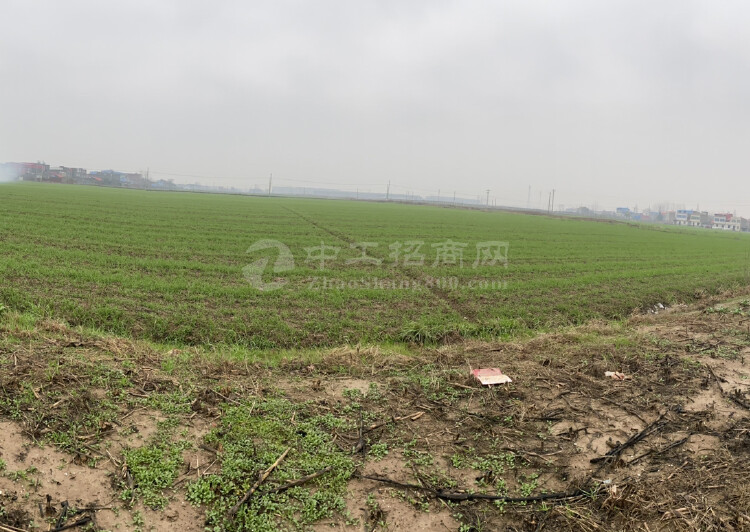 惠城中心区大型工业区49800平方米国有土地转让1