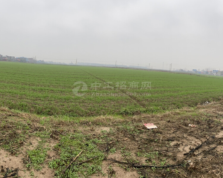 惠城中心区大型工业区49800平方米国有土地转让