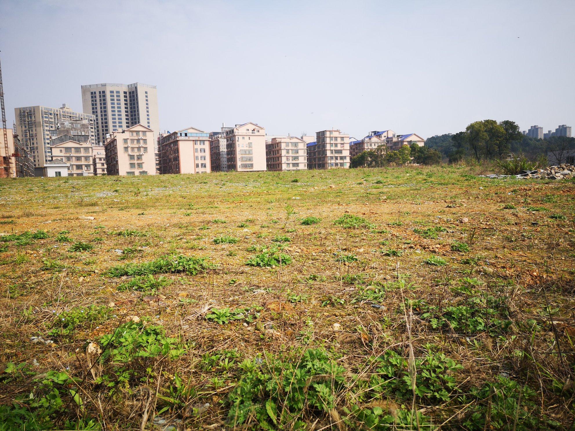 岳麓区60亩土地可分租价格美丽适合做驾照或停车场1