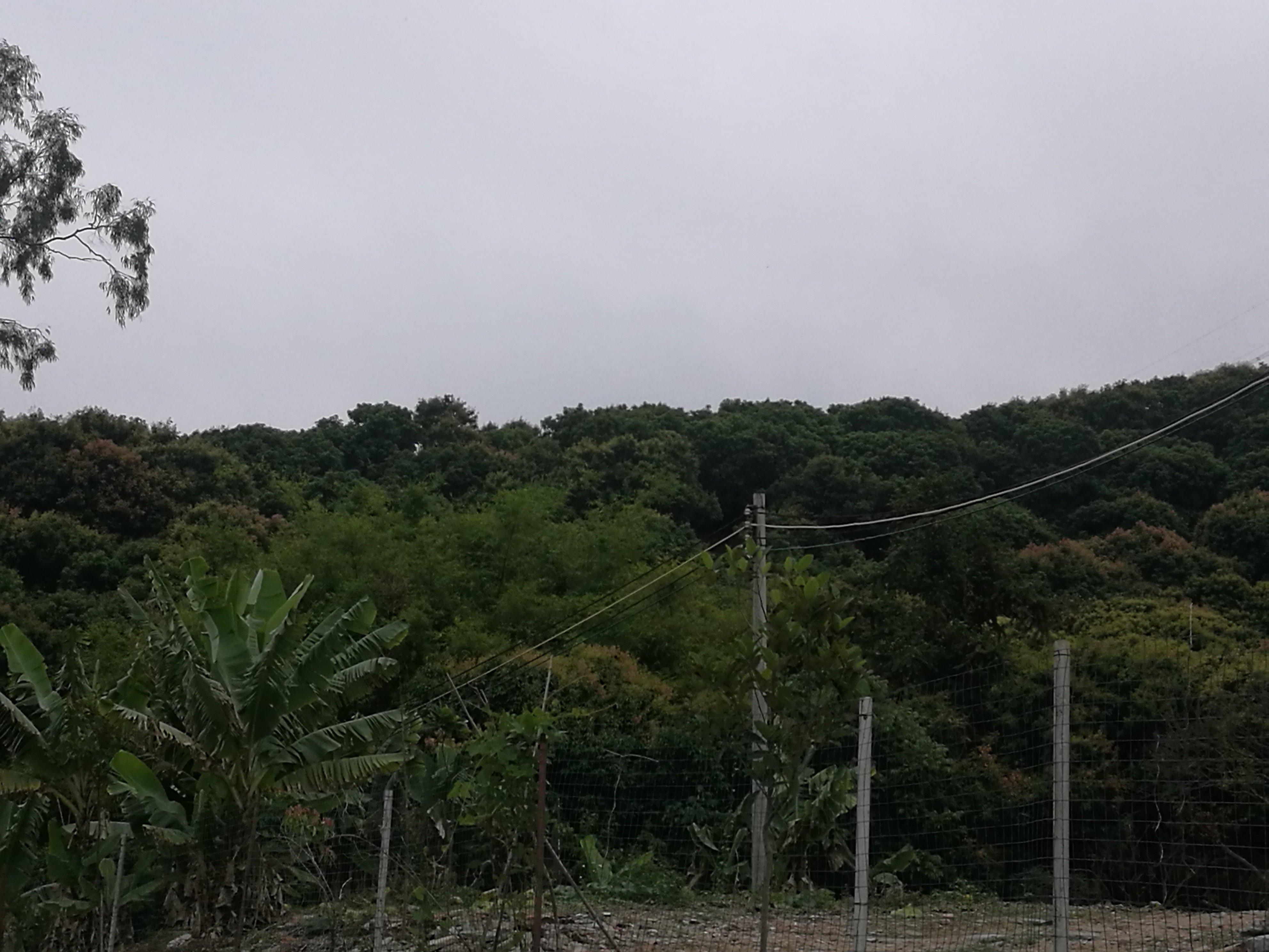 临深片区占地7000㎡国有证地皮出售1