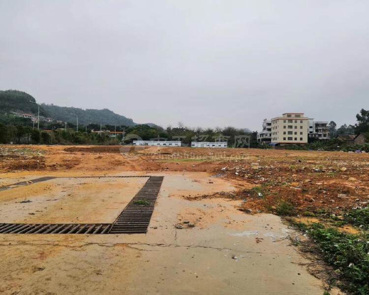 广东清远市清新区52亩地皮出售，20万一亩，国有土地证