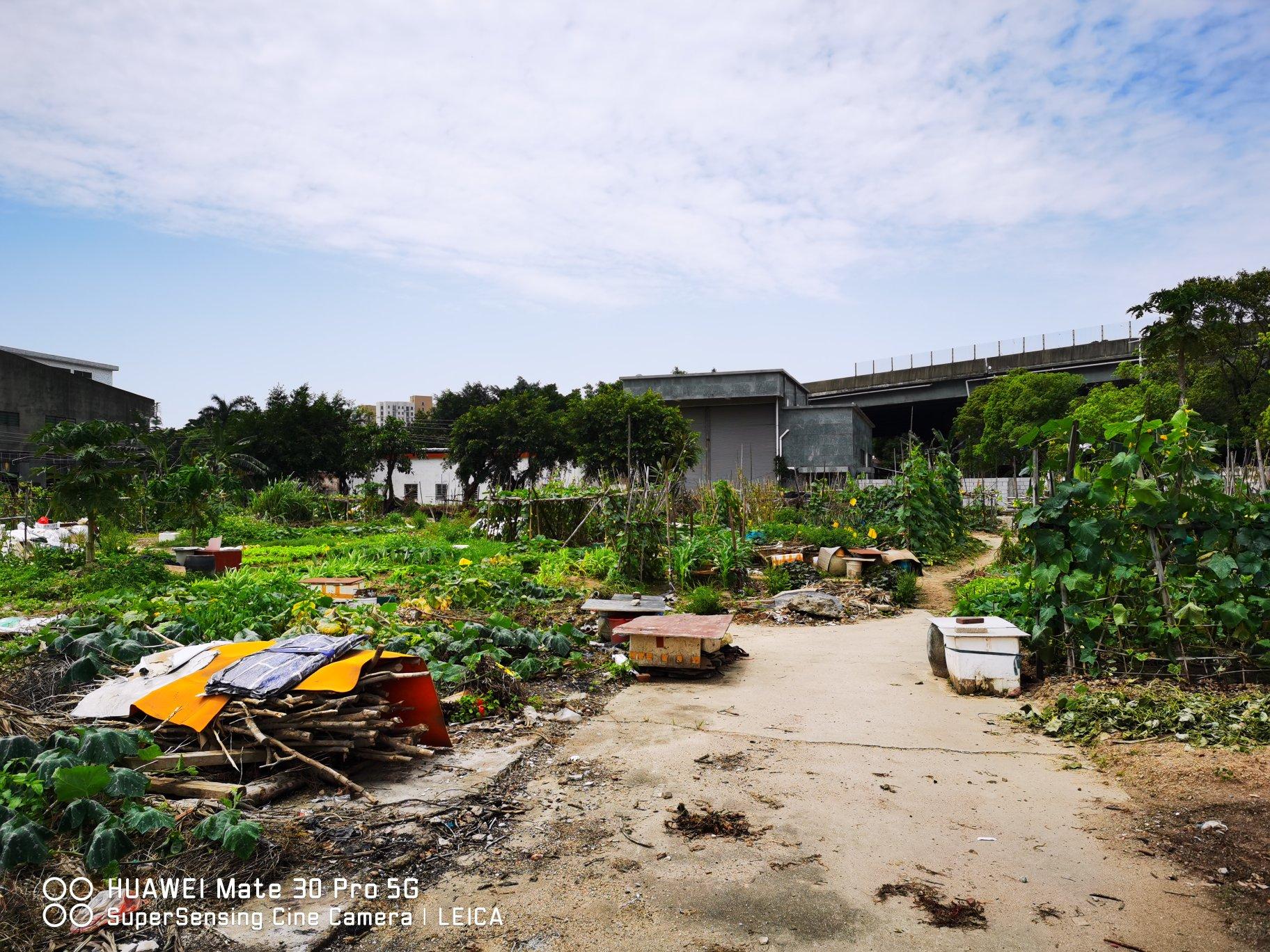 沙田11.68亩商住用地紧售535万/亩2