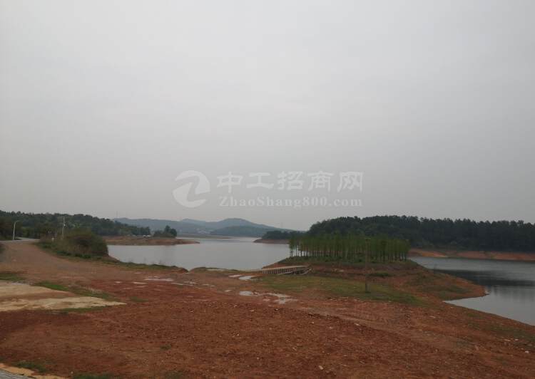长沙县春华镇红旗水库1000亩以上土地可随时开发1