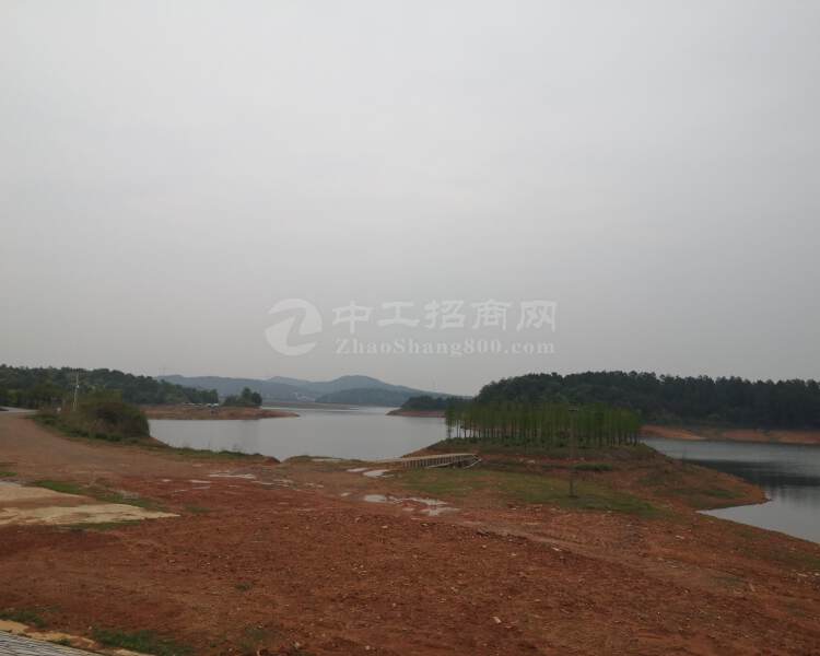 长沙县春华镇红旗水库1000亩以上土地可随时开发
