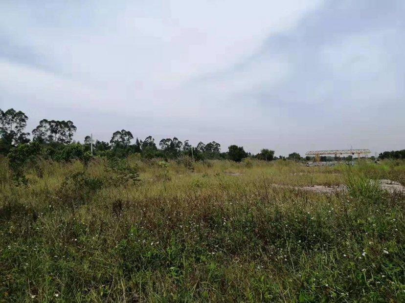 小金口占地1000m²宅基地地皮出售1