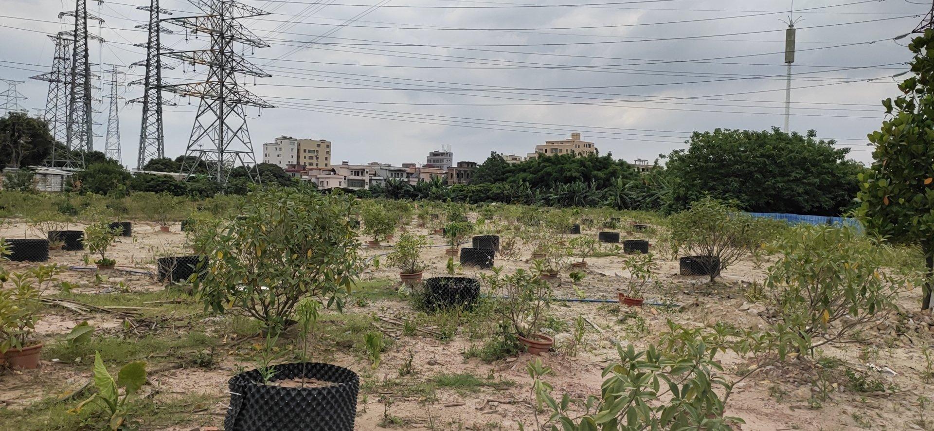 空地3000平方出租，适合各行业1