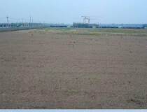 武汉市新洲区双柳土地出售220亩，10亩起售