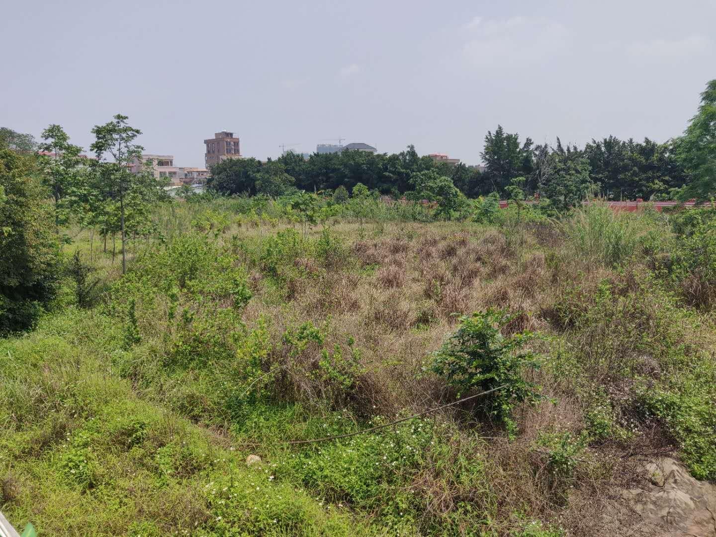 西樵镇稀缺集体工业用地出租，可报建定建2