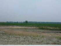 武汉黄冈土地出售320亩，可以分割出售，10亩起售