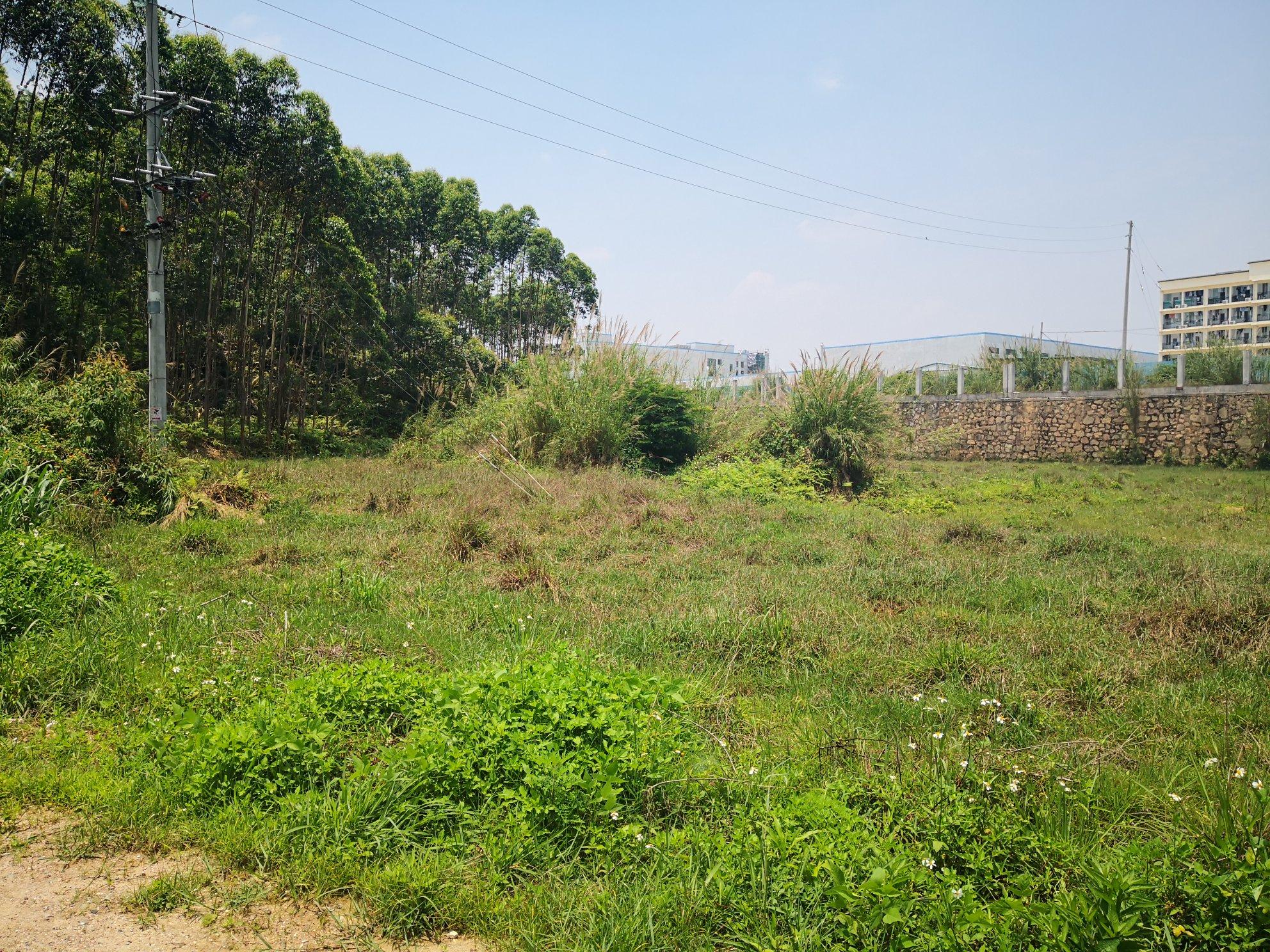 广东增城有32亩空地，证件齐全合适多种行业1