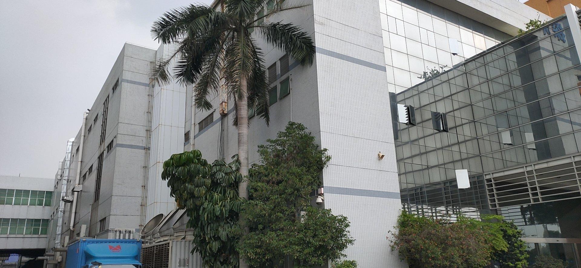 长安镇上沙花园式厂房带装修厂房出租可分租