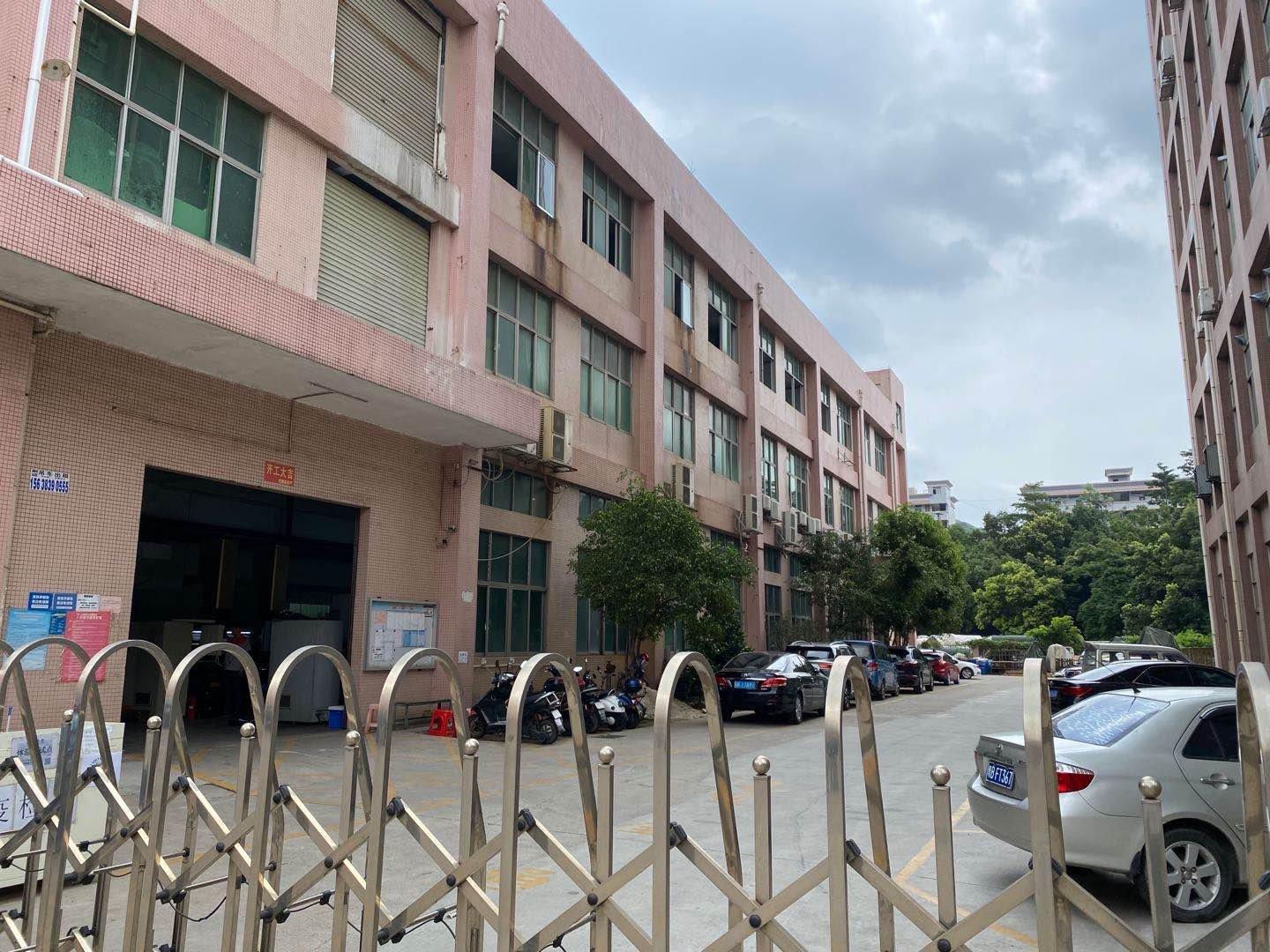 松岗燕川兴达路新出12楼厂房招租.