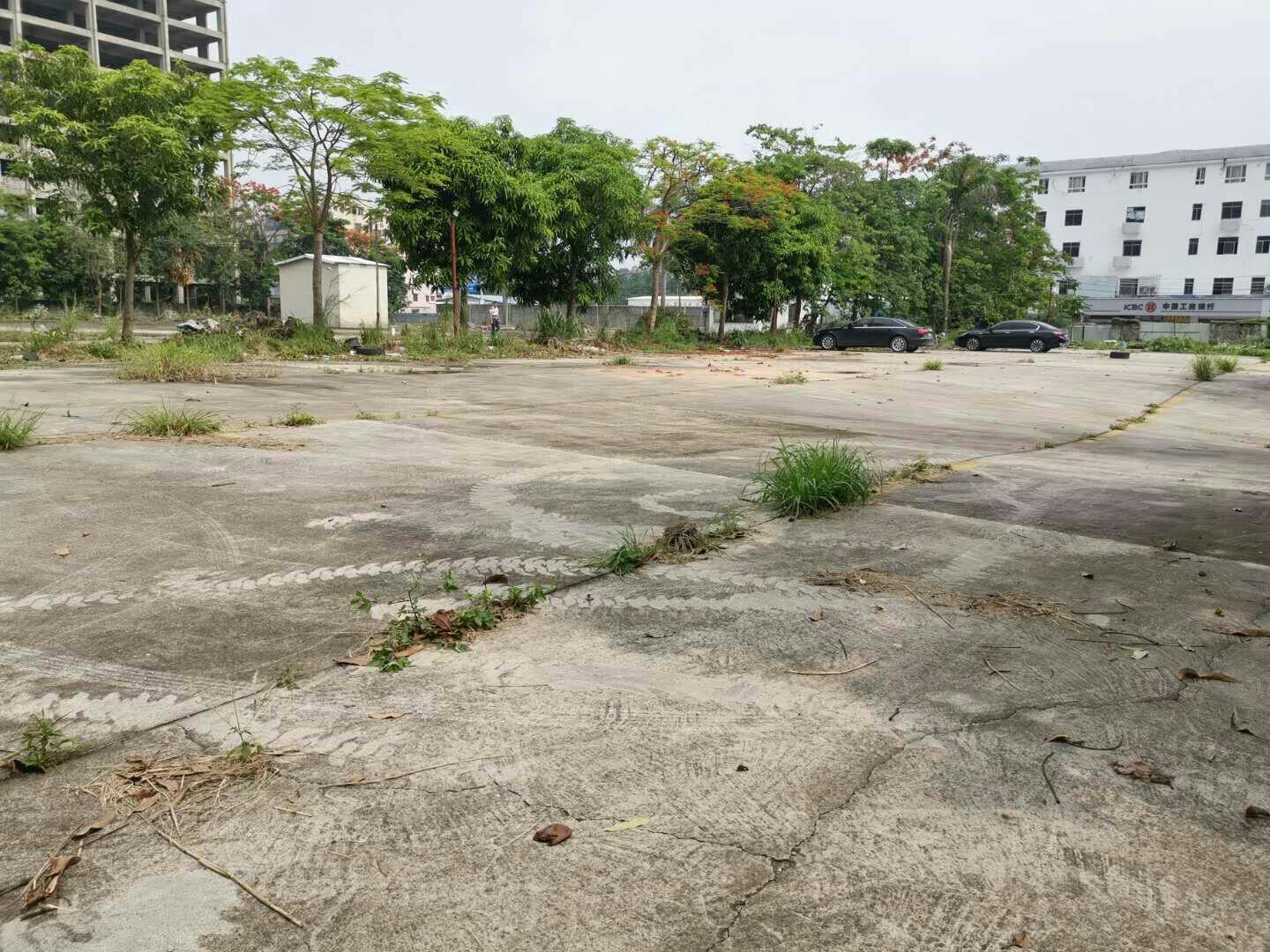 超大空地厂房科韵路和华观路交汇处园区门口大马路环境优美1