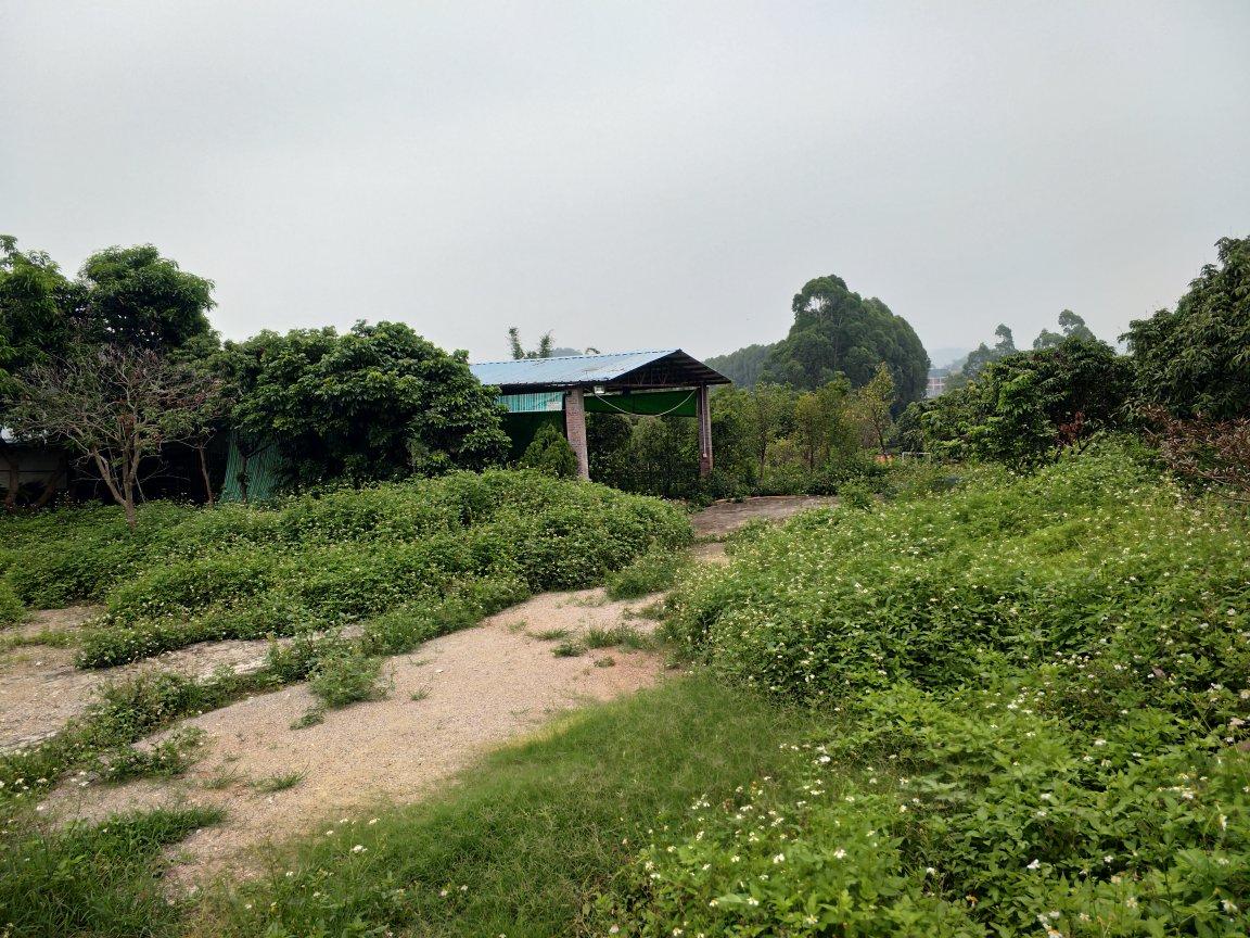 河南开封市杞县工业区国有工业用地出售，招拍挂，对外招标1