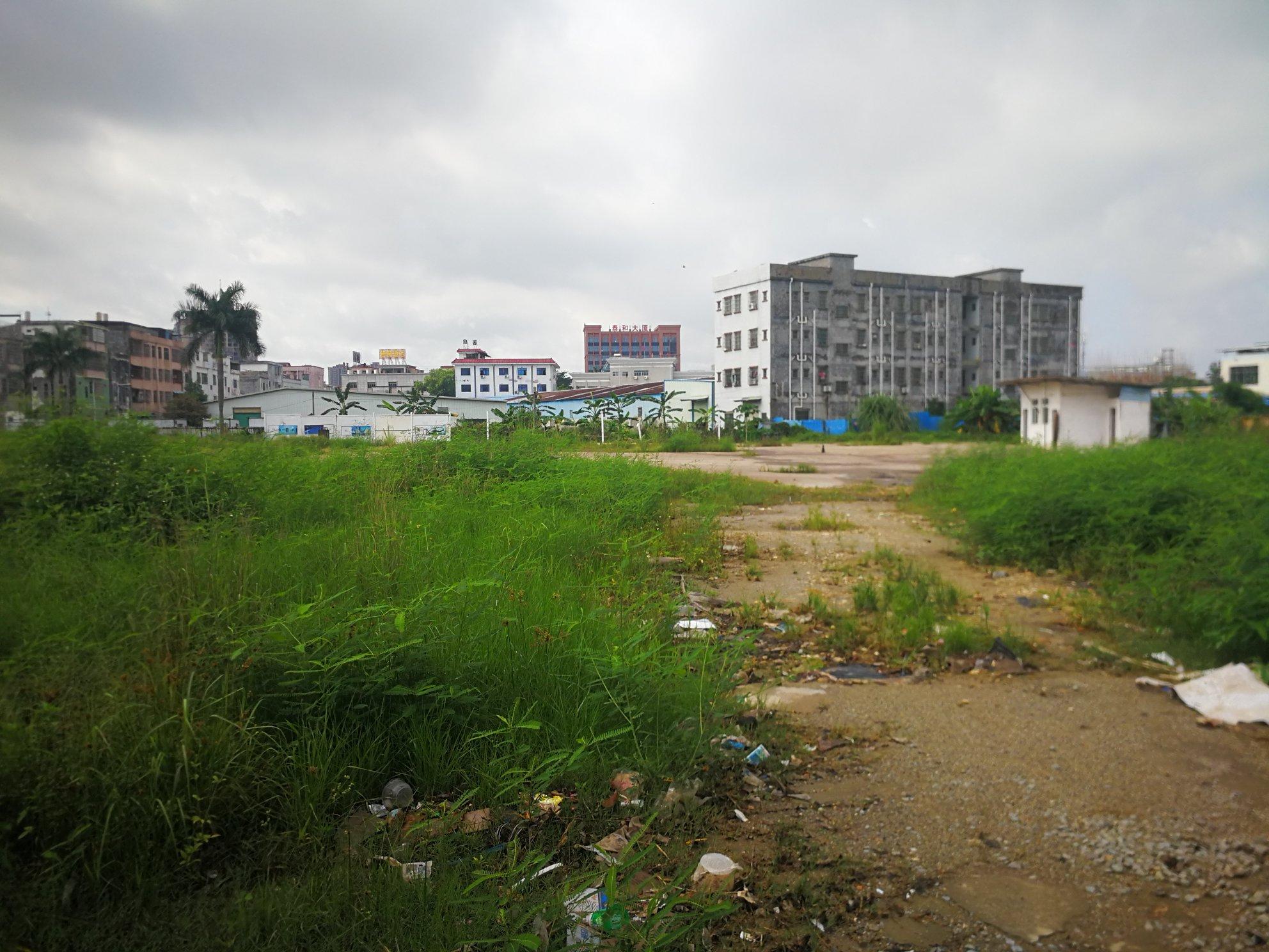 园洲空地已全部硬化现招租（有国土证）2