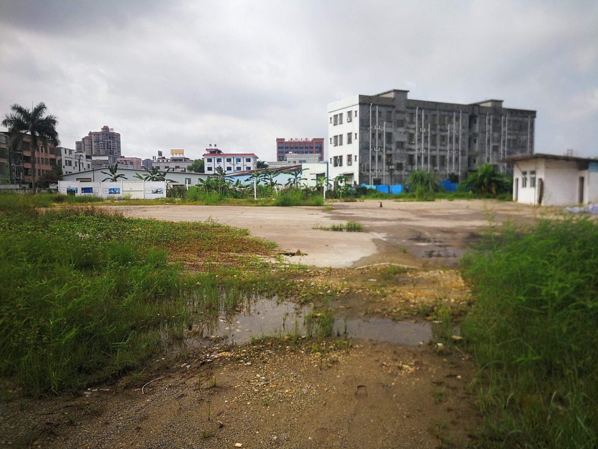 园洲空地已全部硬化现招租（有国土证）1