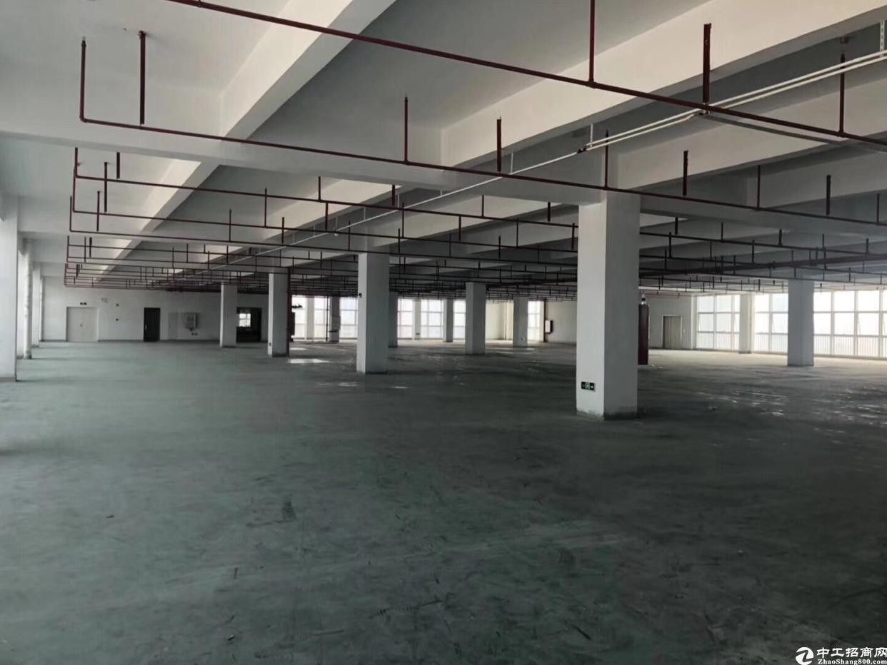 坪山坑梓新出一楼2000平米仓库出租,可以分租