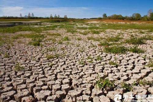 连平所有证件齐全土地10000平方出售1