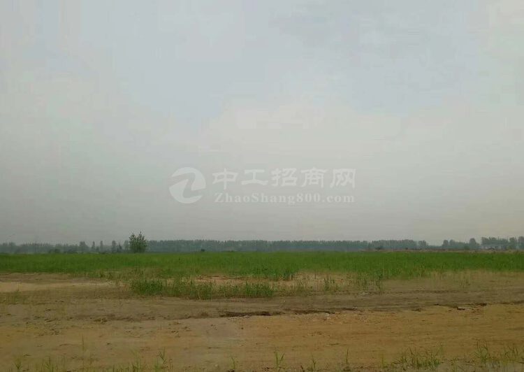 广东省河源市东源国有土地100亩出售1
