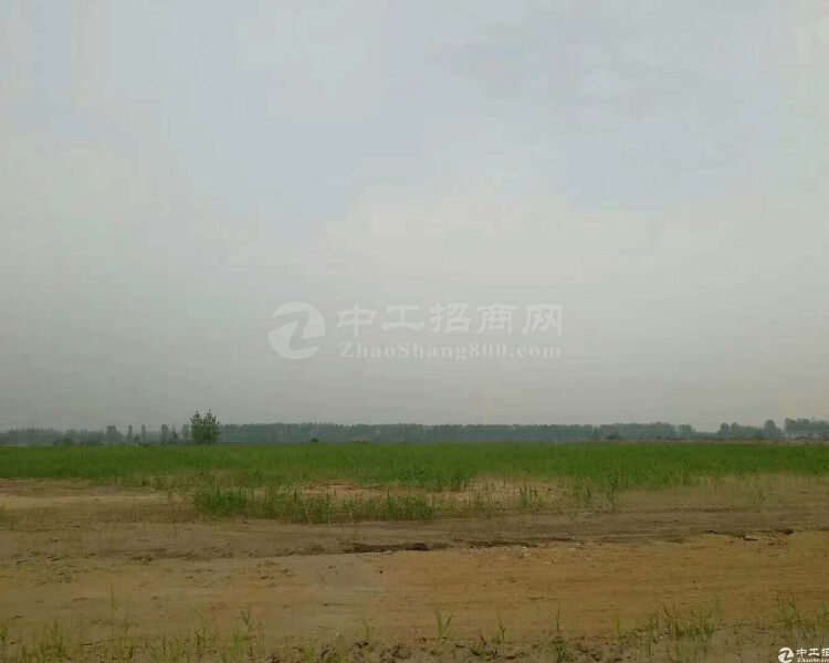 广东省河源市东源国有土地100亩出售