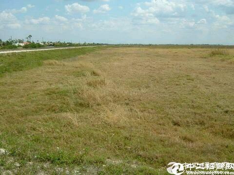 广东惠州国有土地使用权出售红本土地证2