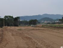 广州市南沙区主干道旁国有工业用地100亩出售