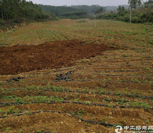 安徽马鞍山现有大量土地出售欢迎咨询1