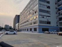 广州黄埔区建筑5000方国有双证红本厂房出售