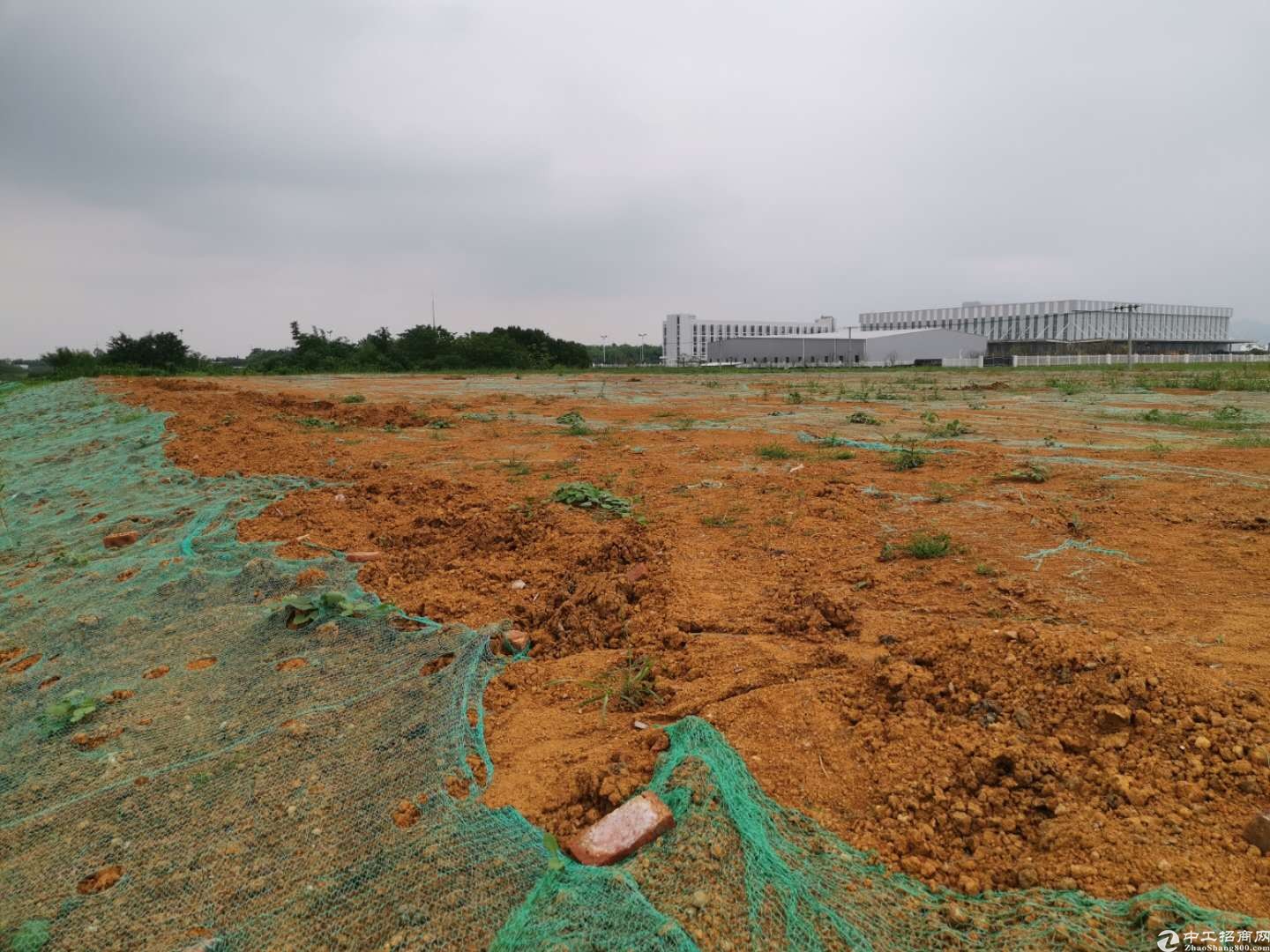 简阳贾家16亩土地出售，欢迎咨询2