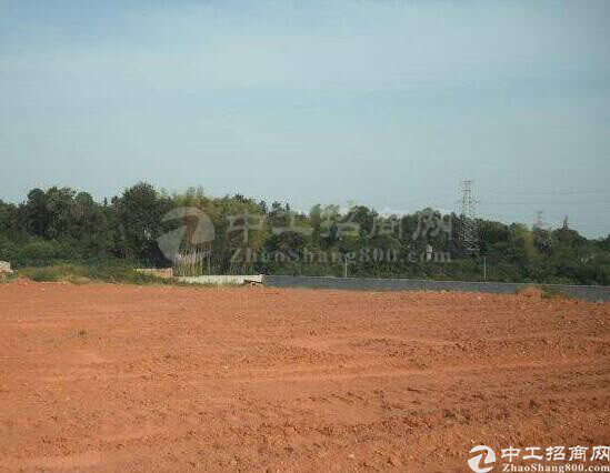 江苏徐州市丰县50亩土地出售，政府招商引资手续齐全1