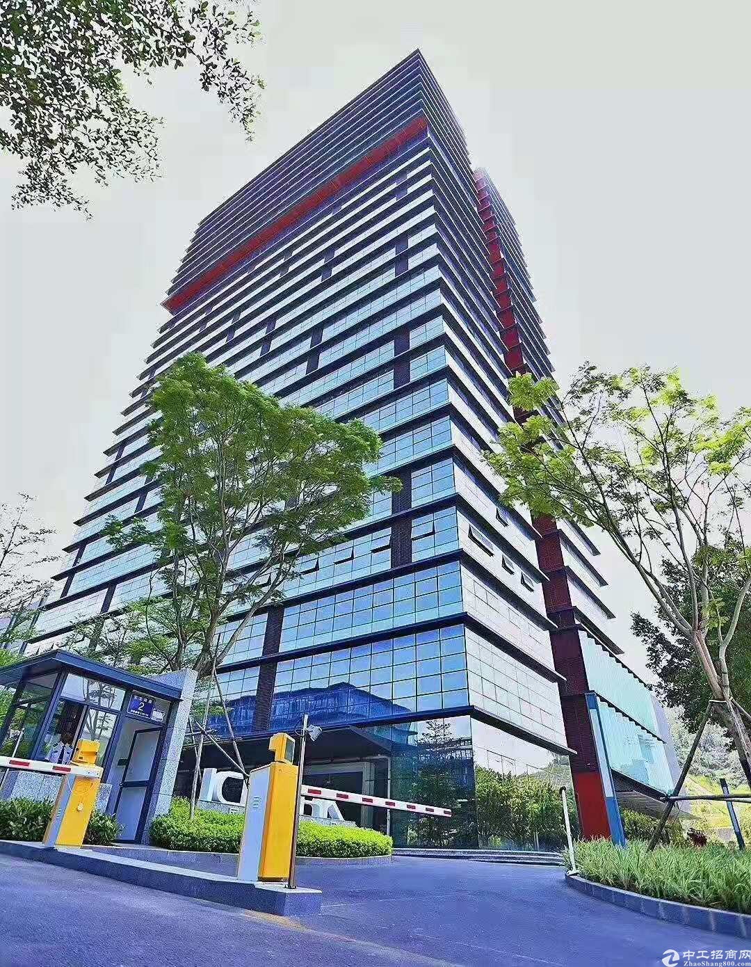 红本精装独栋办公1622平含税特价65元，层高6米双电梯