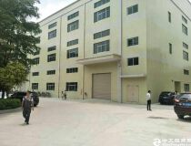 惠阳国道边全新标准厂房分租一楼850平米