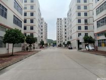 龙岗宝龙工业区6万平方大型红本厂房出租500平方起租