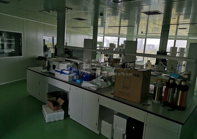 生物医药谷500平米生物实验室8