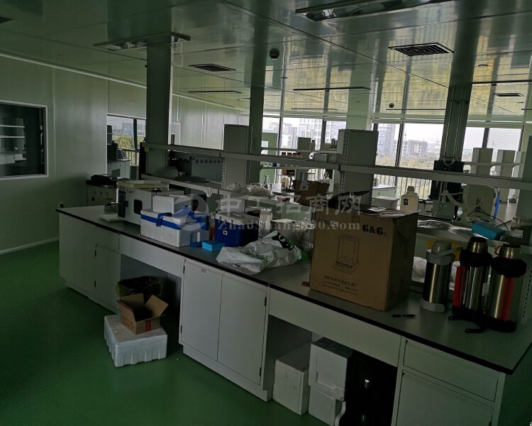 生物医药谷500平米生物实验室