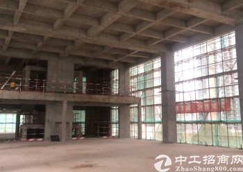 深圳品牌开发商独栋红本写字楼3600平出售可按揭