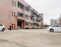惠阳淡水原房东标准厂房5600平带现成地坪漆办公室出租
