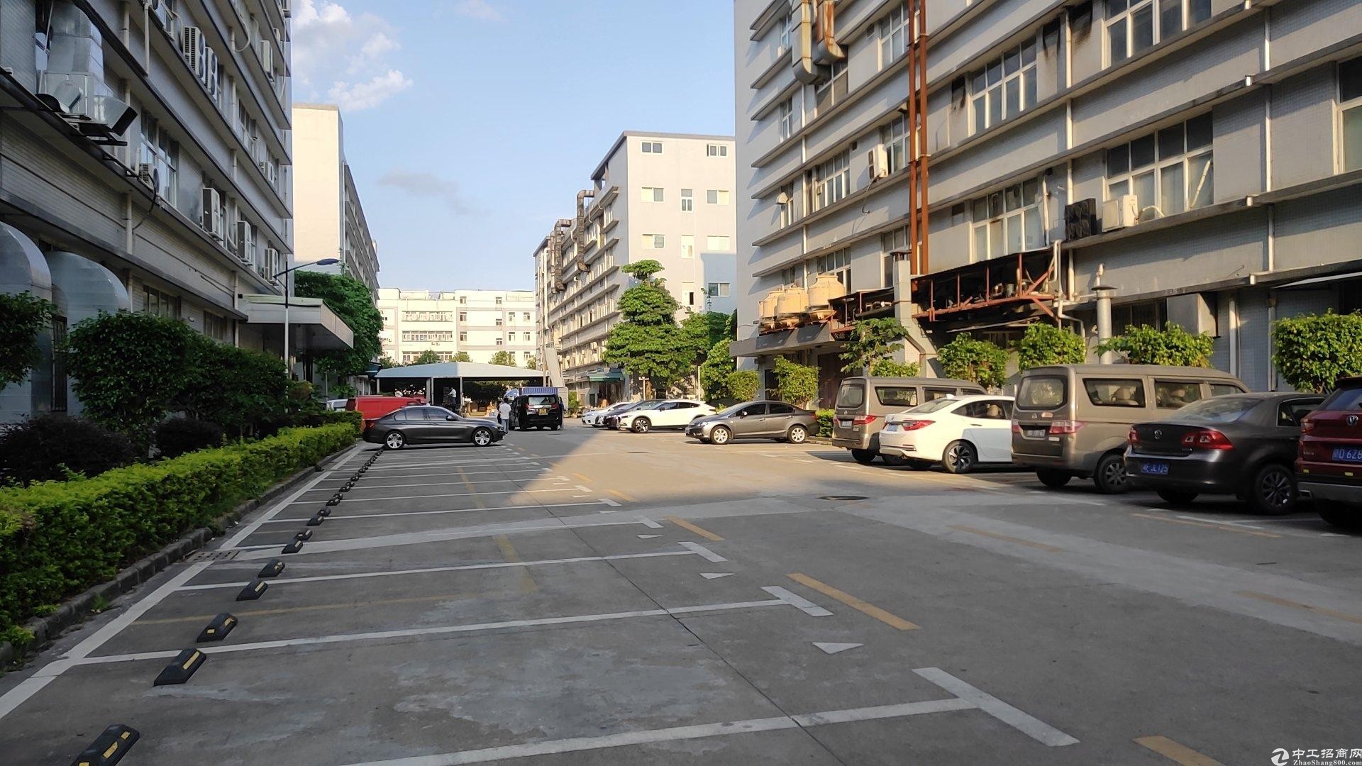 虎门南栅新出原房东厂房5000平方出租