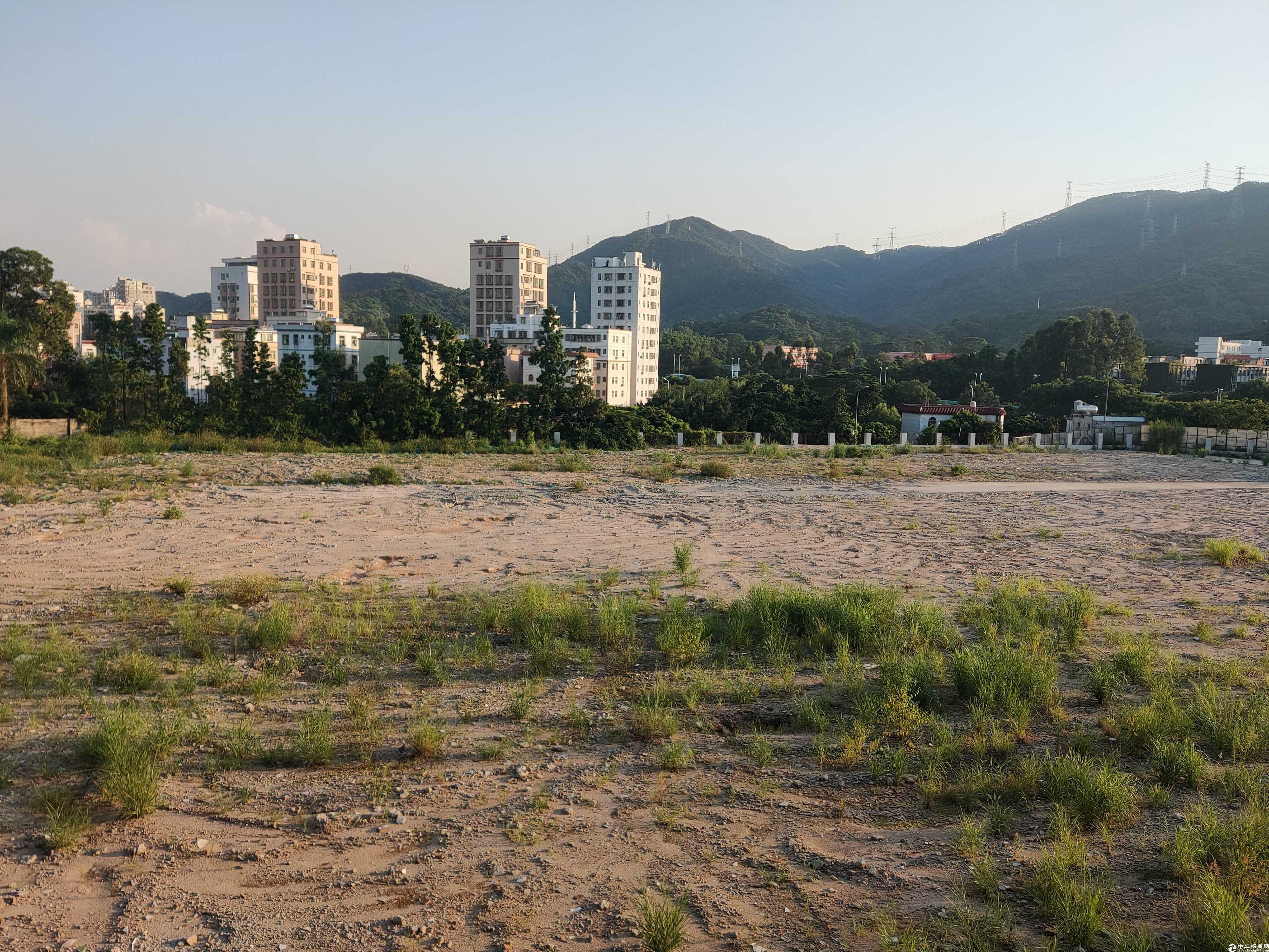 龙岗三万平空地出售产权清晰，可以报建，手续齐全2