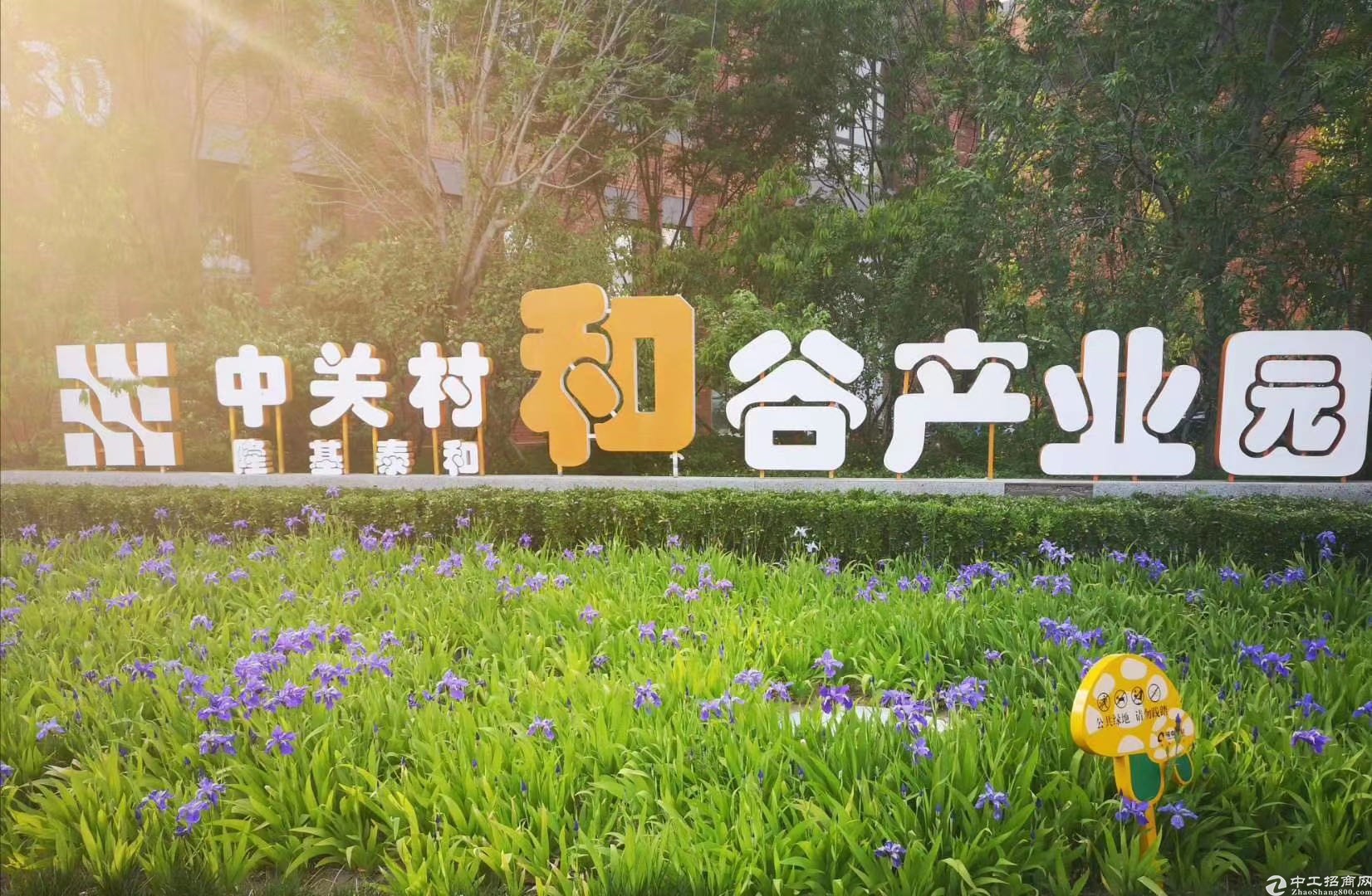 普通图片