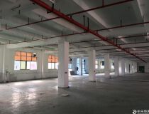 武汉黄陂临空经济开发区单一层2600㎡标准厂房出租，一楼厂房